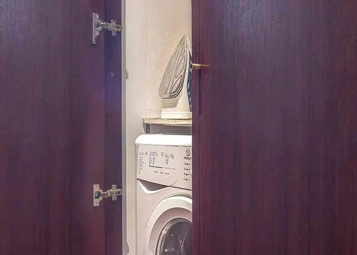 Garden Rose @padova بادوفا